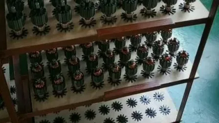 Мотор-редуктор подъема грузовика постоянного тока 30/45/65 Вт для открывания окон/привода ворот/копировального аппарата/тележки для гольфа